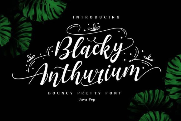 Blacky Anthurium: A Thoughtful Script Font for Editorial Warmth