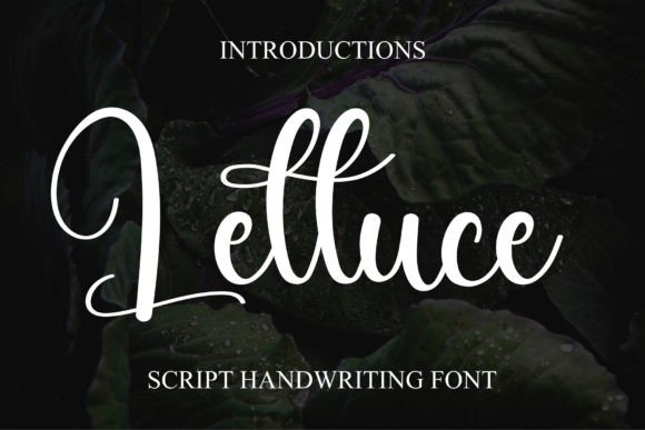 Lettuce Font: A Handwritten Touch That Elevates Your Brand